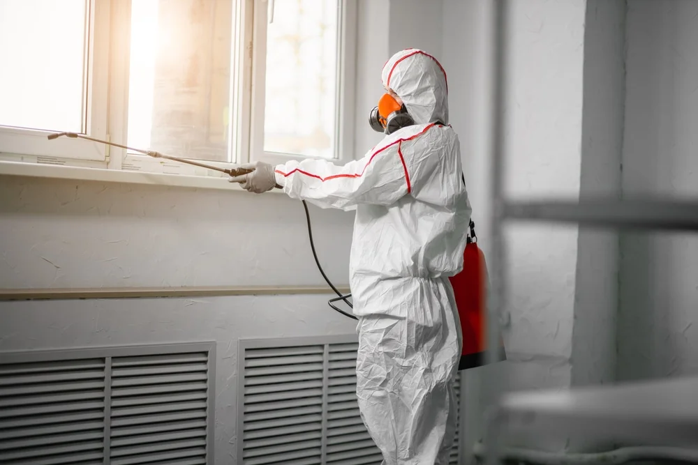 Professional mold remediation services in Hempstead, TX